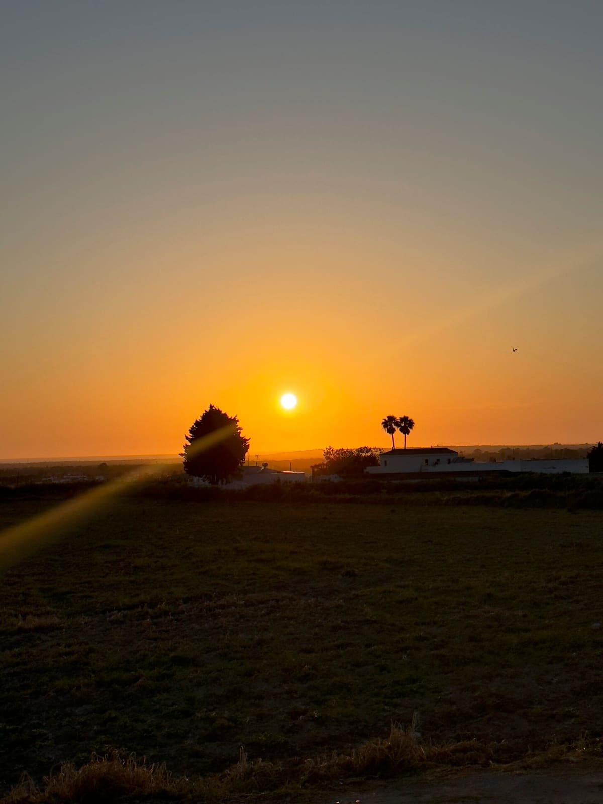 Finca Gesamtansicht
